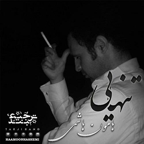 دانلود آهنگ تنهایی هامون هاشمی